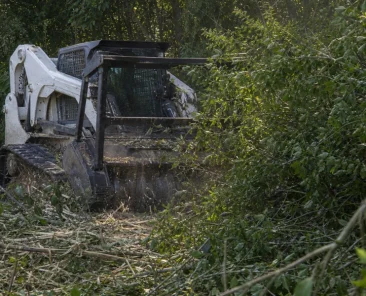 forestry_mulching_for_overgrown_property_a_practic_32565039_featured